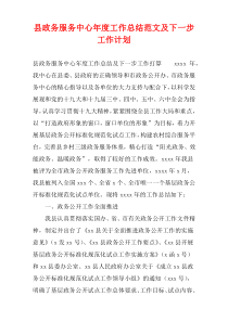 县政务服务中心年度工作总结范文及下一步工作计划