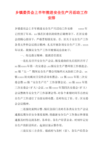乡镇委员会上半年推进安全生产月活动工作安排
