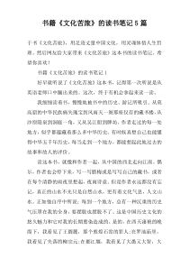 书籍《文化苦旅》的读书笔记5篇