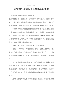 大学新生军训心得体会范文的范例