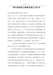 审计培训的心得体会范文800字