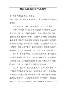 军训心得体会范文小学生