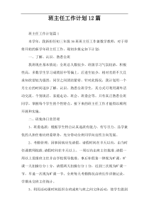 班主任工作计划12篇