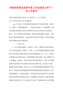 市商务投资促进局年度工作总结范文和下一步工作要点