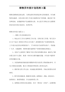 销售员年度计划范例3篇