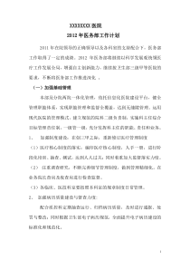 XXXX年医务部工作计划