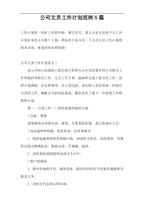 公司文员工作计划范例5篇