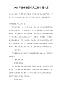 2022年度销售员个人工作计划5篇