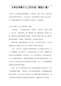 大学生学期个人工作计划（精选5篇）