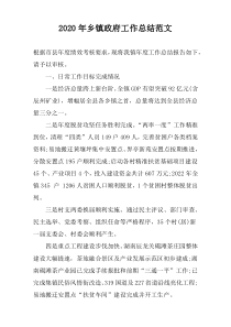 2020年乡镇政府工作总结范文