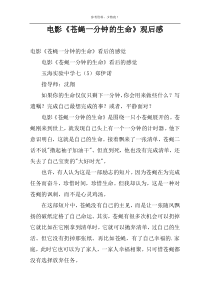 电影《苍蝇一分钟的生命》观后感