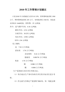 XXXX年工作管理计划建议