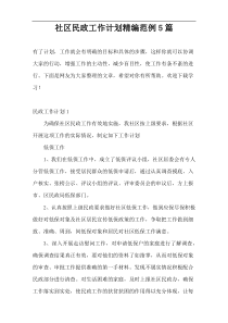 社区民政工作计划精编范例5篇