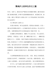 赞美护士的学生作文三篇