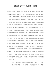 销售月度工作总结范文范例