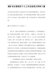 煤矿安全管理员个人工作总结范文样例5篇