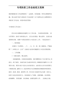 专项扶贫工作总结范文范例