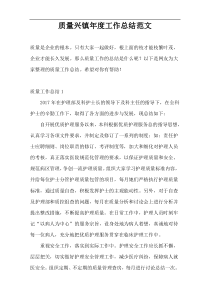 质量兴镇年度工作总结范文