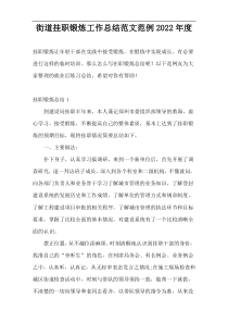 街道挂职锻炼工作总结范文范例2022年度