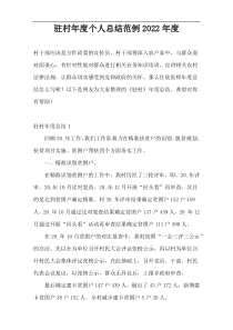 驻村年度个人总结范例2022年度