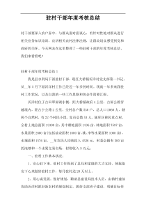 驻村干部年度考核总结