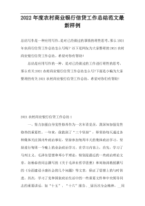 2022年度农村商业银行信贷工作总结范文最新样例
