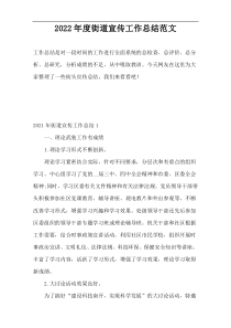 2022年度街道宣传工作总结范文