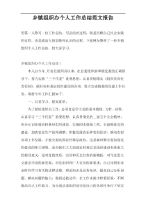 乡镇组织办个人工作总结范文报告