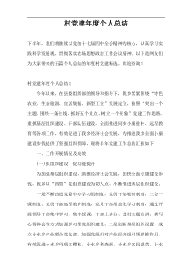村党建年度个人总结