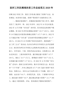 驻村工作队精准扶贫工作总结范文2020年