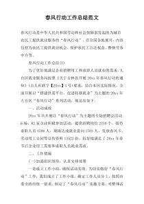 春风行动工作总结范文