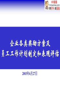 企业各类奖励方案及员工工作计划制定和表现评估-HR猫猫