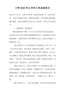 小学2020年上半年工作总结范文