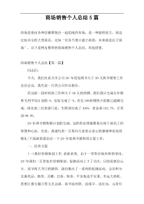 商场销售个人总结5篇