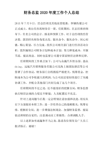 财务总监2022年度工作个人总结