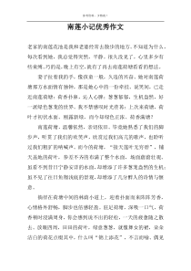 南莲小记优秀作文