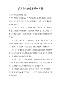 员工个人安全承诺书三篇