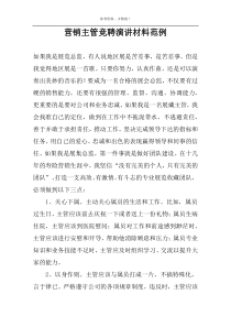 营销主管竞聘演讲材料范例