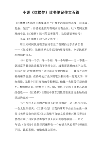 小说《红楼梦》读书笔记作文五篇