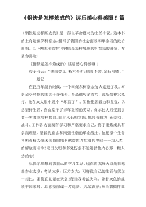 《钢铁是怎样炼成的》读后感心得感慨5篇