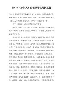 【800字】《小妇人》的读书笔记范例五篇