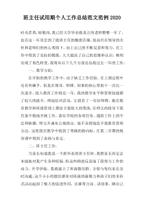 班主任试用期个人工作总结范文范例2022
