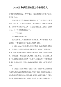 2022财务试用期转正工作总结范文