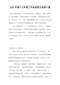 2022年度个人年度工作总结范文范例5篇