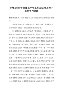 乡镇2022年党建上半年工作总结范文和下半年工作思路