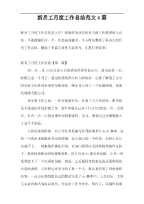 新员工月度工作总结范文4篇