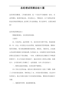 总经理试用期总结5篇