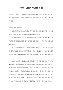 采购文员实习总结5篇