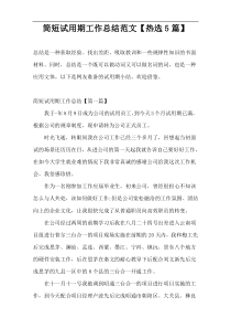简短试用期工作总结范文【热选5篇】