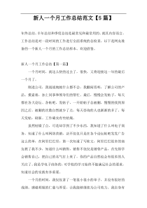 新人一个月工作总结范文【5篇】